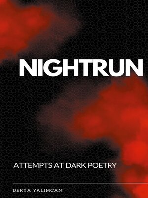 cover image of Nightrun
